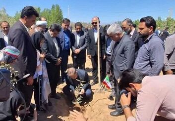 توزیع ۸۴۰ هزار نهال با نهضت ملی کاشت یک میلیارد درخت در اصفهان 