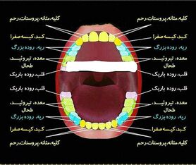راز پوسیدگی دندان‌ها در چیست؟