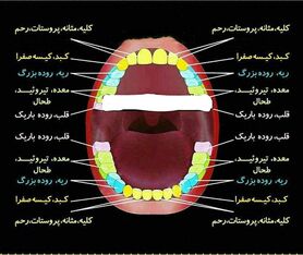 راز پوسیدگی دندان‌ها در چیست؟