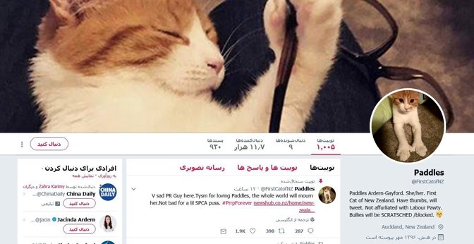 عزاداری نخست‌وزیر نیوزیلند در سوگ "گربه اول"