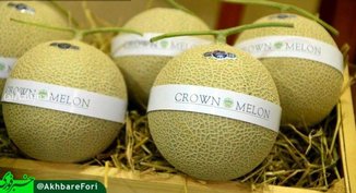 گرانترین میوه دنیا با ارزش ۶۰میلیون تومان !