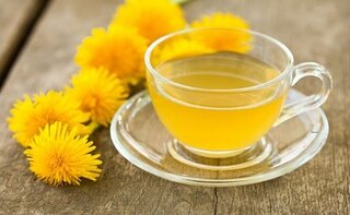قوی‌ترین نسخه‌های گیاهی اشتهاآور