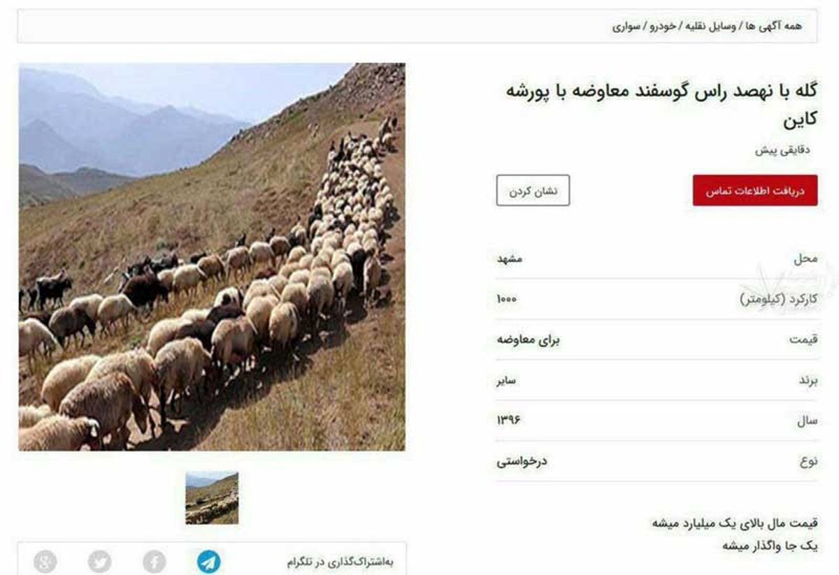 آگهی معاوضه گله گوسفند با پورشه!