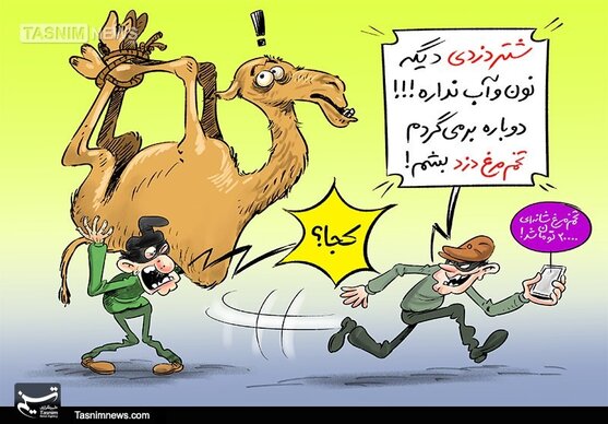 کاریکاتور/ شتر دزد، تخم‌مرغ دزد می‌شود!!!