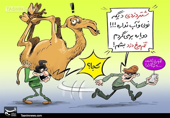 کاریکاتور/ شتر دزد، تخم‌مرغ دزد می‌شود!!!
