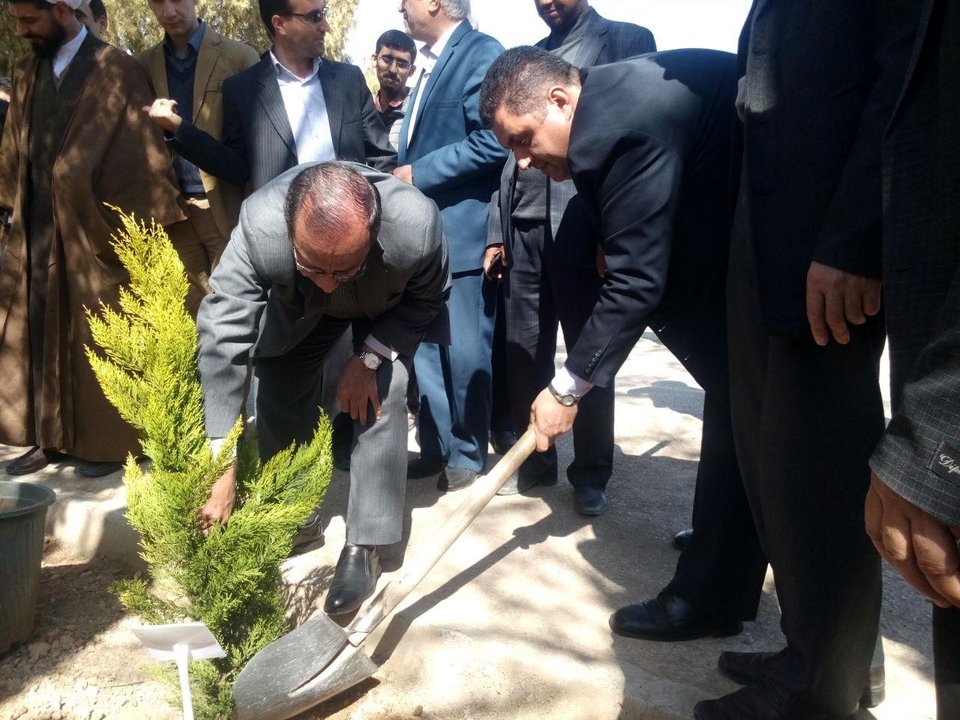 توزیع 7 هزار اصله نهال در شهرستان نجف‌آباد