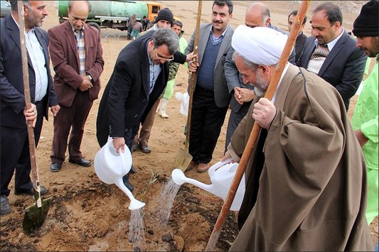 درختکاری در بارش الهی نجف آباد