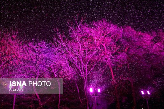 شب برفی اصفهان