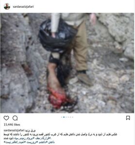 نابودی اعضای داعش در غرب کشور