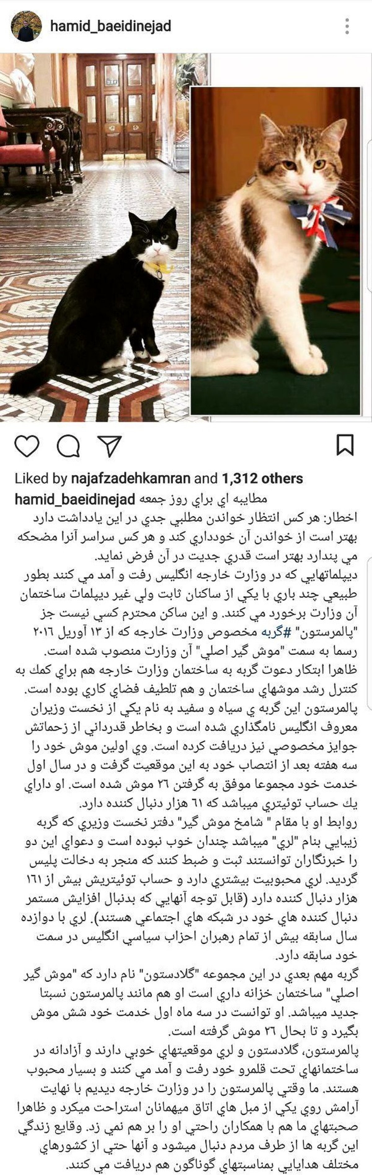 روایت سفیر ایران از ملاقات با گربه شاغل در وزارت خارجه انگلیس