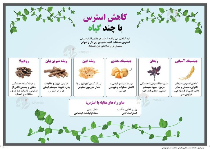کاهش استرس با چند گیاه