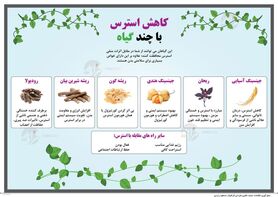 کاهش استرس با چند گیاه