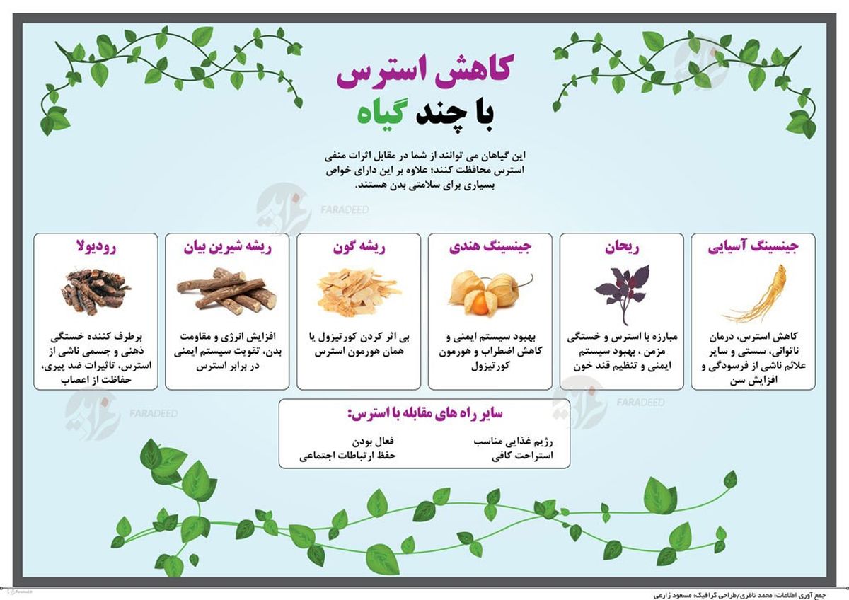 کاهش استرس با چند گیاه