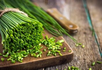 تره چیست؟ بررسی خواص، طبع و مضرات این سبزی مفید