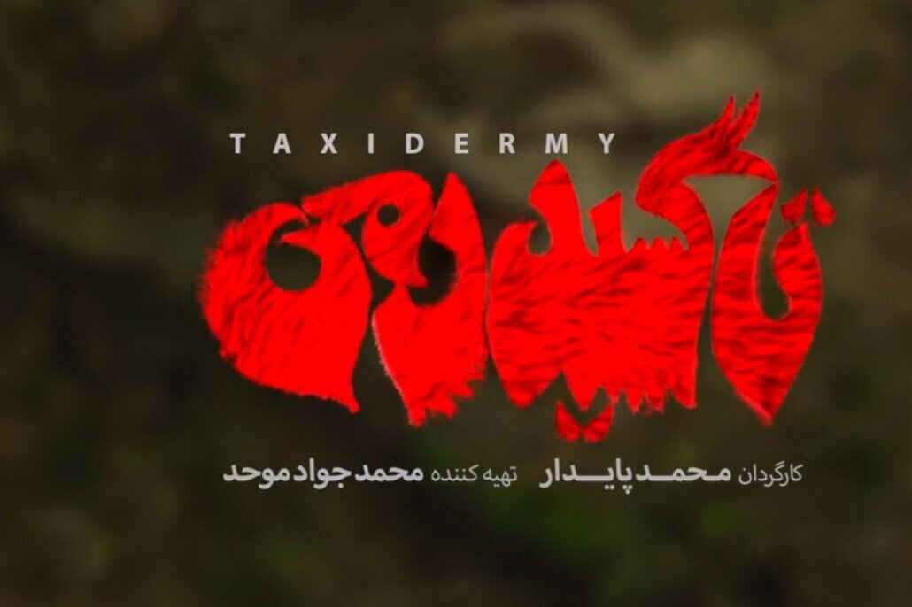  فیلم تاکسیدرمی ایرانی با بازی مجید صالحی و آناهیتا درگاهی