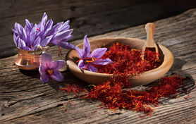 طلای سرخ زیر سایه برندهای خارجی