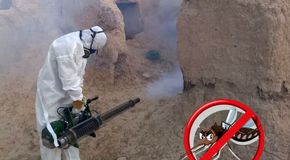 سد شکنی ۷۰ درصدی آمار سالک در جرقویه؛ چگونه کانون‌های بیماری در اصفهان مهار شدند؟