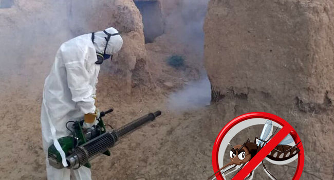 سد شکنی ۷۰ درصدی آمار سالک در جرقویه؛ چگونه کانون‌های بیماری در اصفهان مهار شدند؟