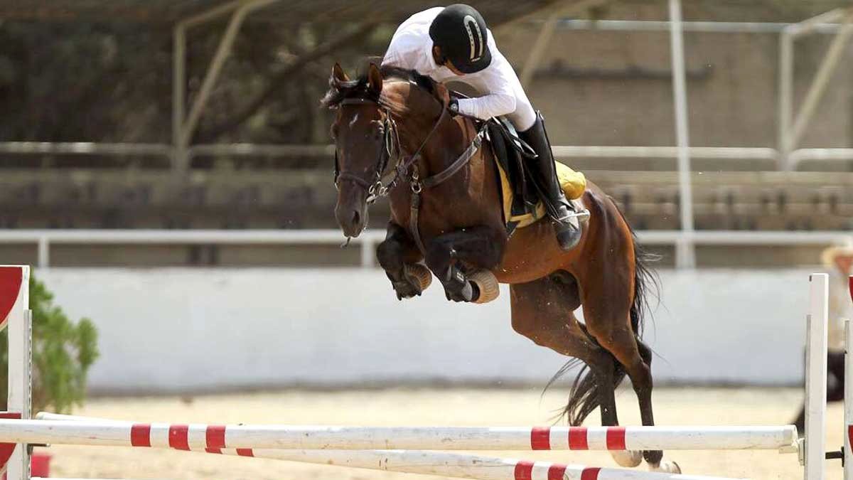 تکیه قهرمانان بر سکوی افتخار؛ پرونده مسابقات پرش با اسب قهرمانی استان اصفهان بسته شد