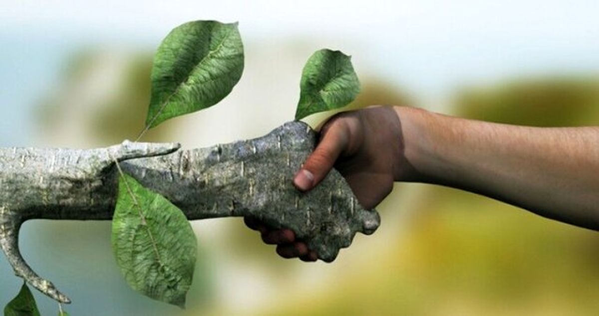 ما چیزی از محیطزیست نمیدانیم