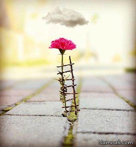 ۱۴۰۱ را زنده ماندم اما زندگی نکردم