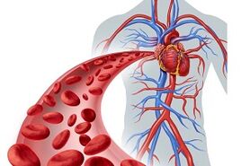 شایع‌ ترین نوع کم‌ خونی کدام است؟