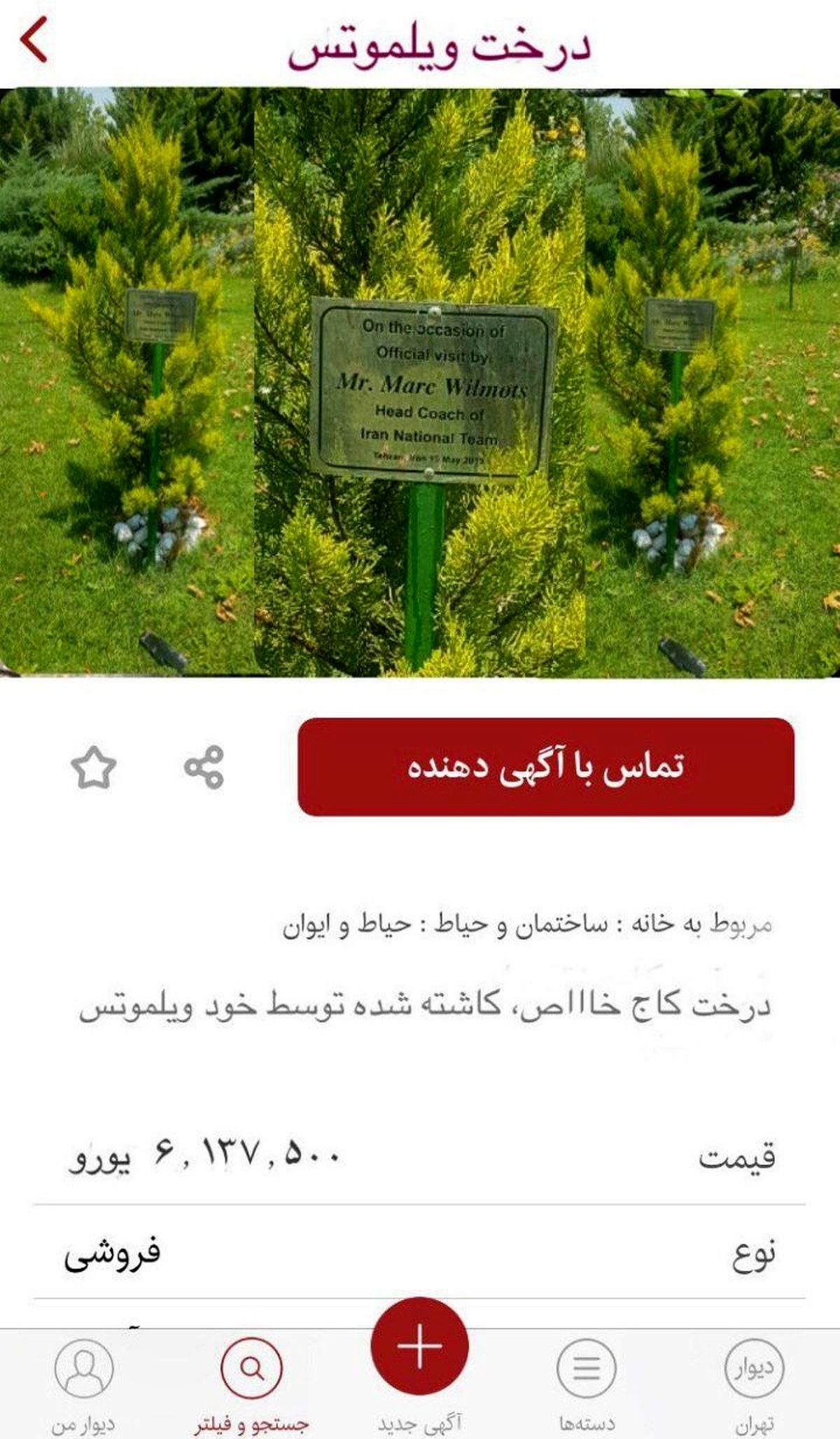 آگهی فروش اینترنتی؛ حراج درخت ویلموتس برای پرداخت دستمزدش (عکس)