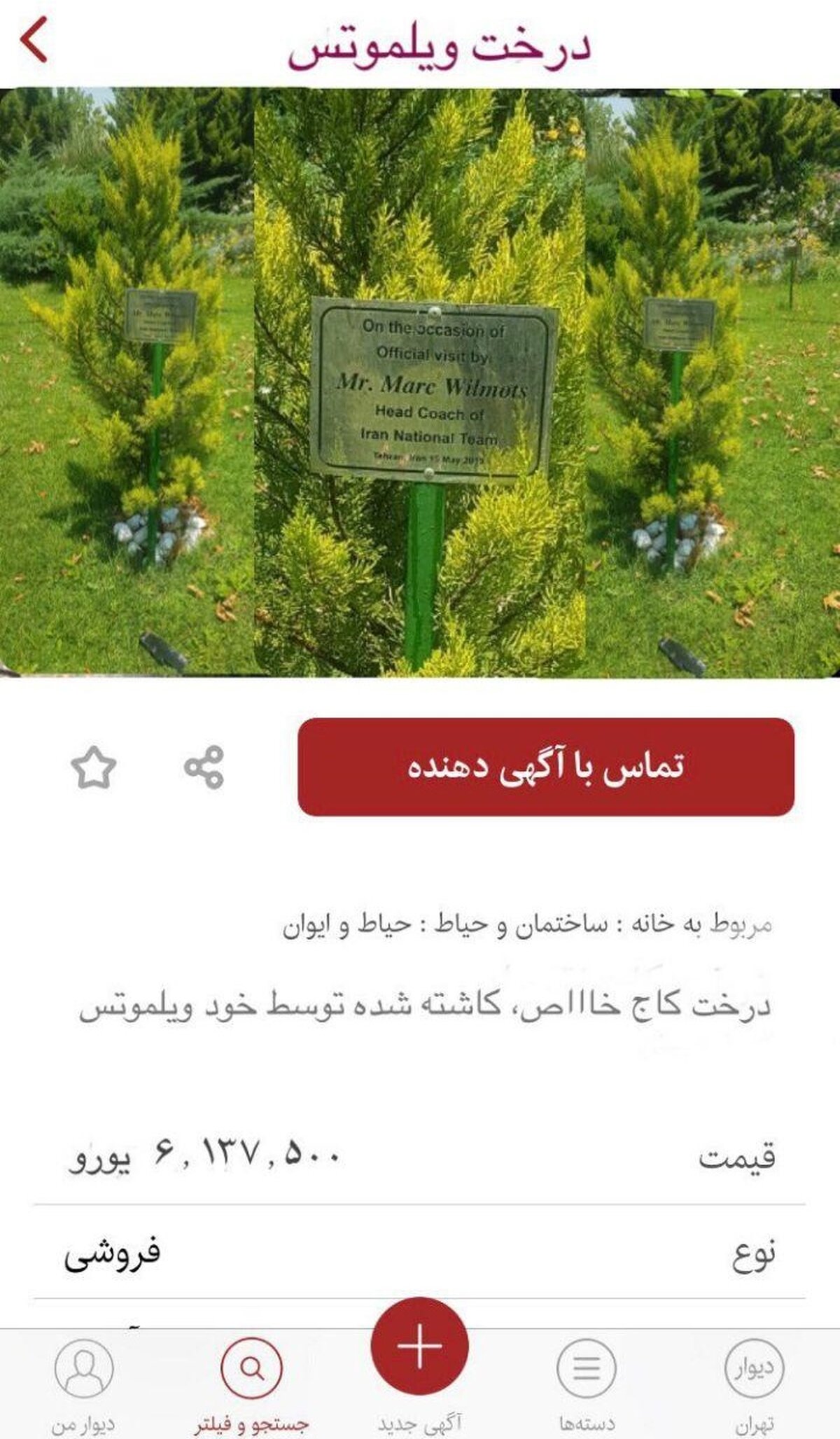 آگهی فروش اینترنتی؛ حراج درخت ویلموتس برای پرداخت دستمزدش (عکس)