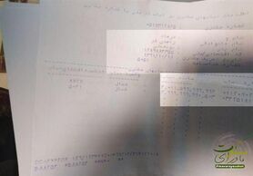 امید شاکیان پرونده‌ "سکه ثامن" به سندی که هنوز اصالتش تأیید نشده است