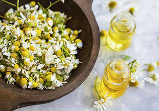 خواص گياه بابونه