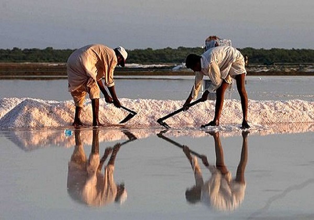 نمک دریا، ماده‌ای مفید یا سرطان زا؟