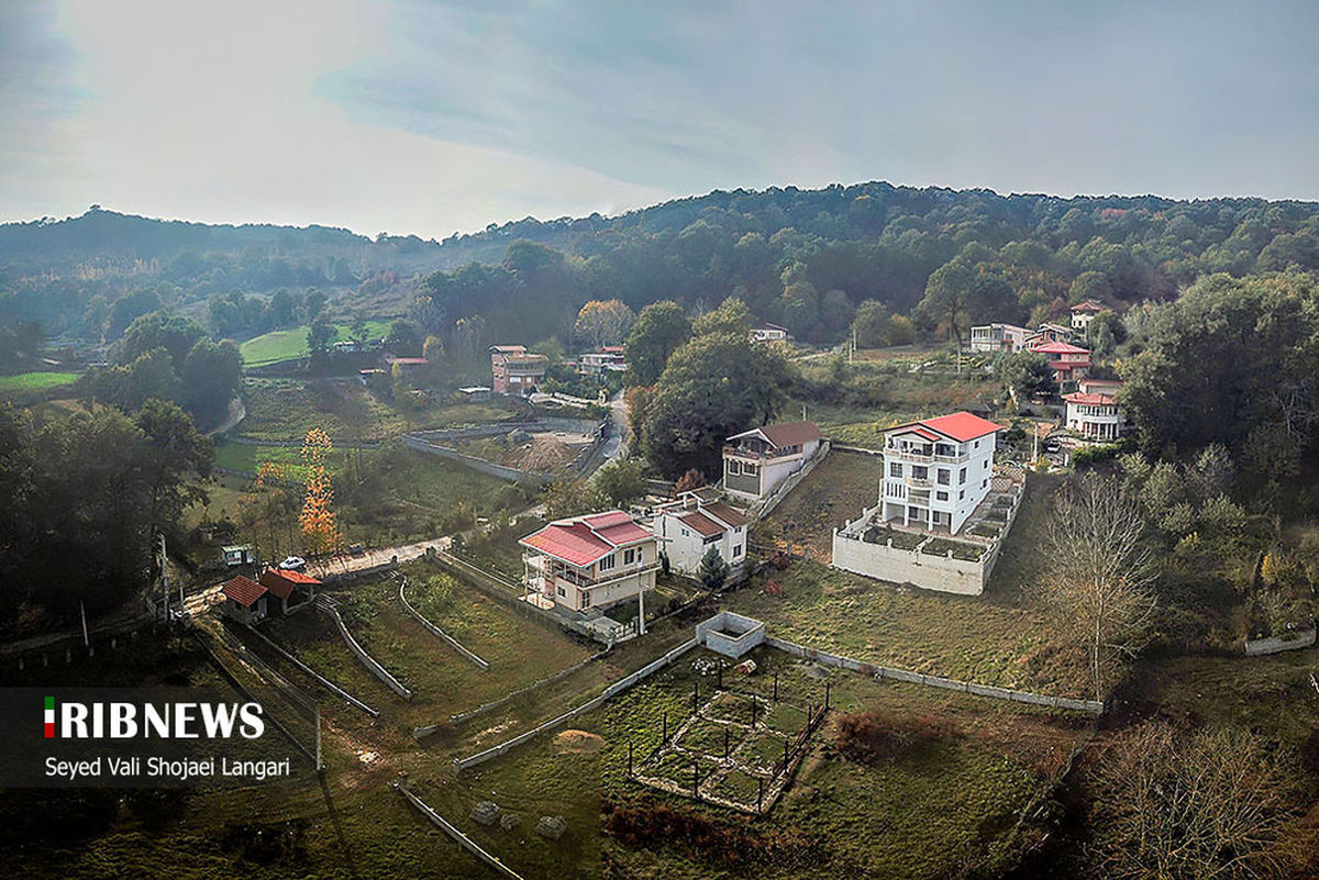 (تصاویر) زمین خواری عجیب در جنگل‌های شکتا!