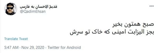 خانم الیزابت امینی لطفا کمی آروم تر وطن فروشی کنید!