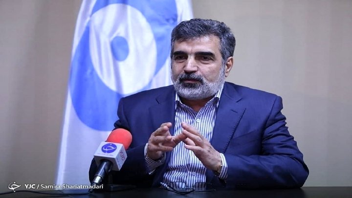 کمالوندی: اطلاعات کافی درباره خرابکاری در تأسیسات هسته‌ای نطنز وجود ندارد