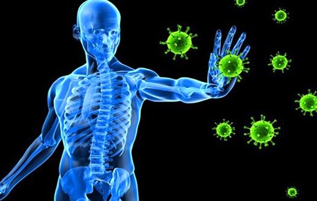 با خوردن سیب سیستم ایمنی خود را تقویت کنید