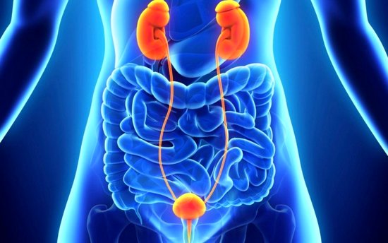 نشانه‌های بیماری‌ کلیوی در کودکان چیست؟