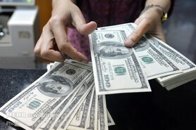 جزئیات قیمت رسمی انواع ارز / نرخ ۲۶ ارز کاهش یافت