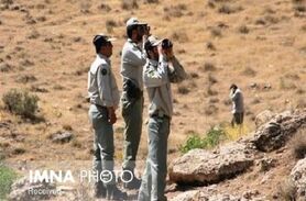 آخرین وضعیت محیط‌بانان مصدم قمیشلو