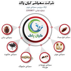 چکار کنیم که دیگر در منزلمان سوسک نبینیم؟