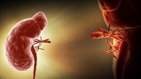 علائم قبل و بعد از پیوند کلیه را بشناسید