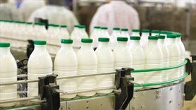 جزئیات افزایش قیمت شیر خام/ محصولات لبنی چقدر گران می شود؟