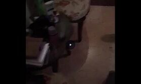 دزد به خانه مریم امیرجلالی زد!