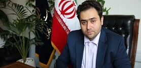 کنایه تند داماد روحانی به نامزد‌های ریاست‌جمهوری
