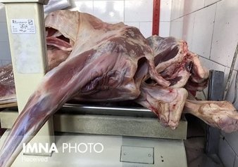 قیمت گوشت قرمز کاهش یافته است