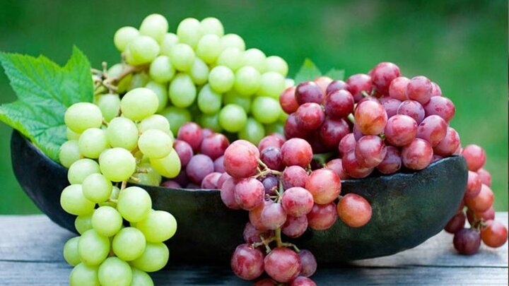 طبع انگور سرد است یا گرم؟؛ خواص شگفت انگیز انگور برای سلامتی