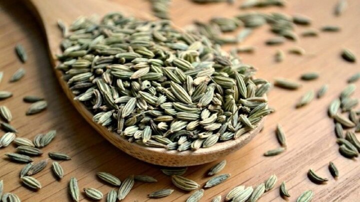 تاثیر قابل توجه گیاه رازیانه در درمان عفونت کرونا