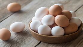 طوفان تخم مرغ در بازار