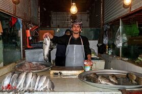خشکسالی جان تولید ماهی را گرفت