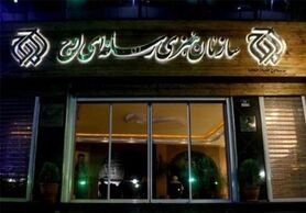 واکنشِ نماینده مجلس به اتهام‌زنی‌ به سازمان اوج: کار کردن همیشه سنگ خوردن هم دارد!