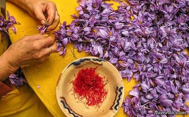 رشد قیمت زعفران کاذب و غیرمنطقی است